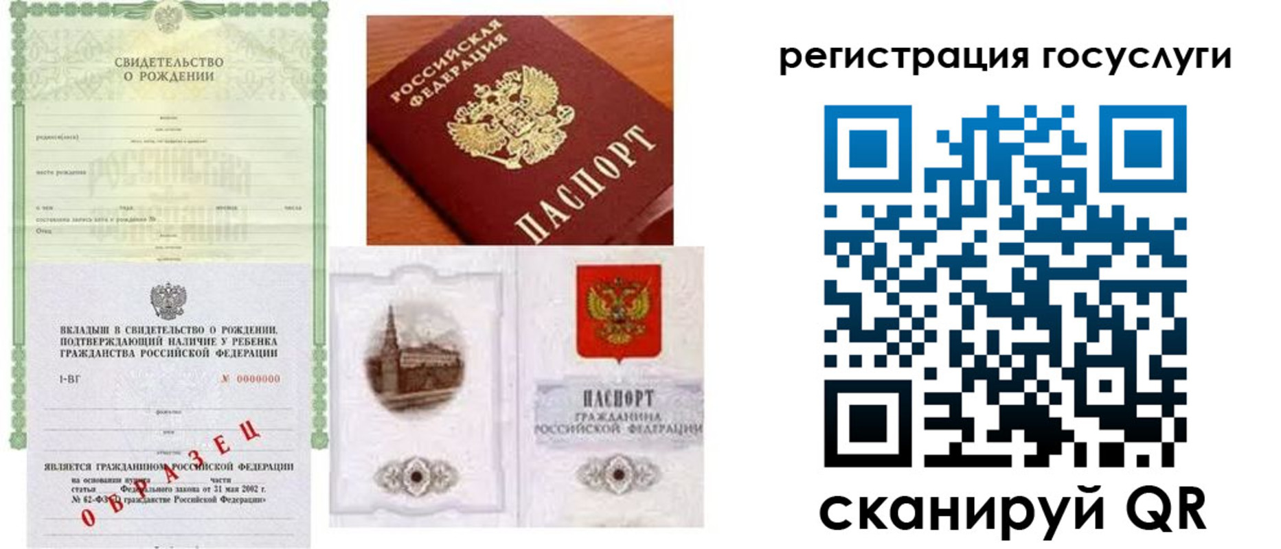 временная регистрация госуслуги в Елизово